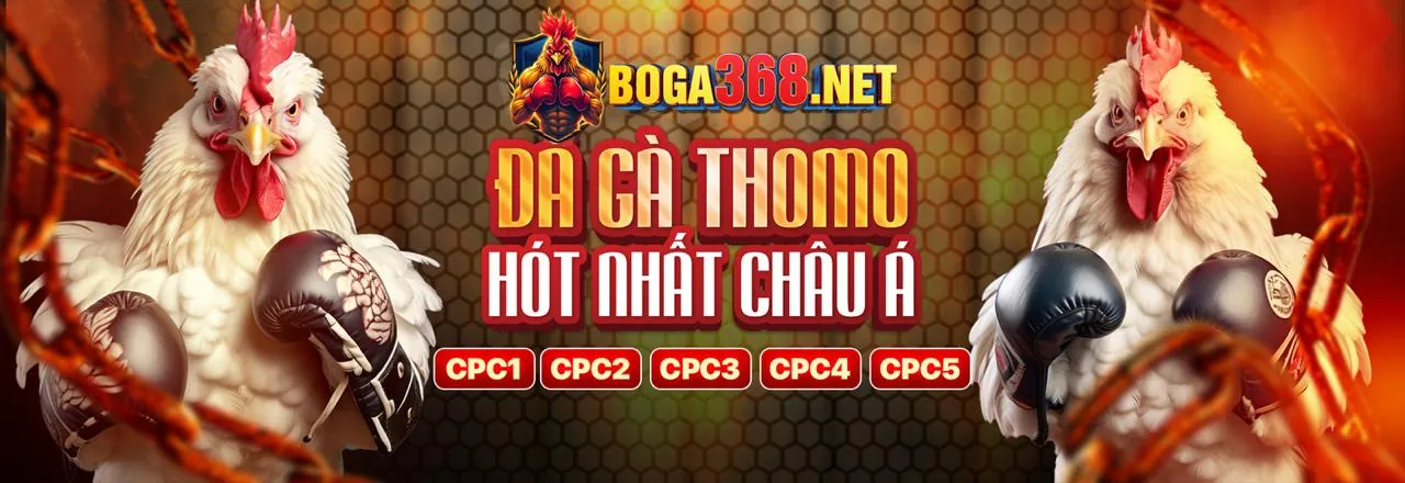Hình ảnh nền đăng nhập ứng dụng Lucky 8