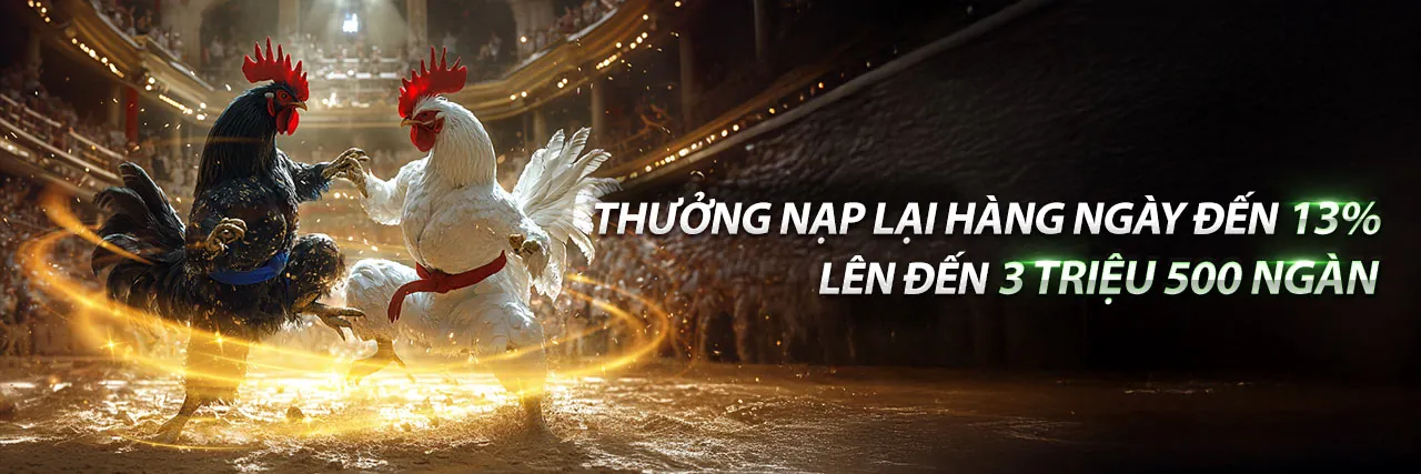 Đá gà trực tuyến kịch tính tại Lucky 8 Tải App